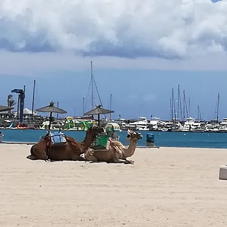 O Descanso Y Relax Nocleg ze śniadaniem Puerto del Rosario (Fuerteventura)