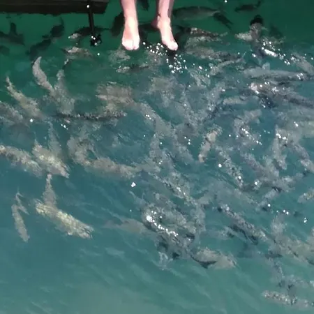 O Descanso Y Relax Puerto del Rosario (Fuerteventura)