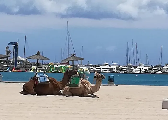 Hostal o Pensión Descanso y Relax Alojamento de Acomodação e Pequeno-almoço Puerto del Rosario (Fuerteventura)