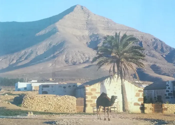 Hostal o Pensión Descanso y Relax Puerto del Rosario (Fuerteventura)
