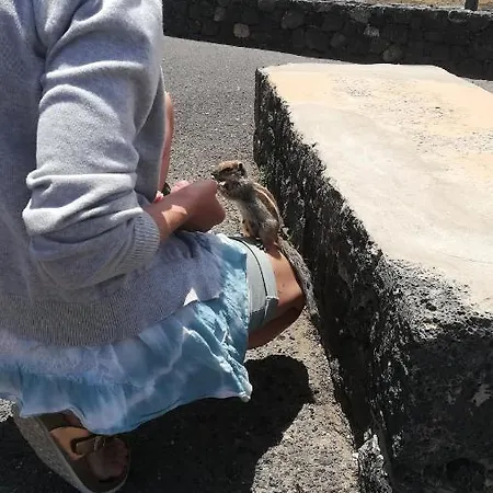 O Descanso Y Relax 3*