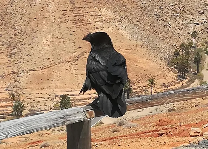 Hostal-Private Room Descanso Y Relax 3*