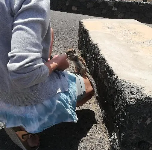 Hostal-Private Room Descanso Y Relax 3*