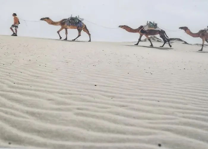 Bed & Breakfast Hostal-Private Room Descanso Y Relax