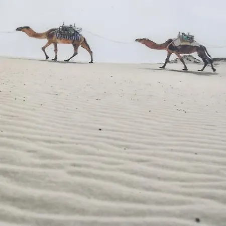 Oda ve Kahvaltı O Descanso Y Relax